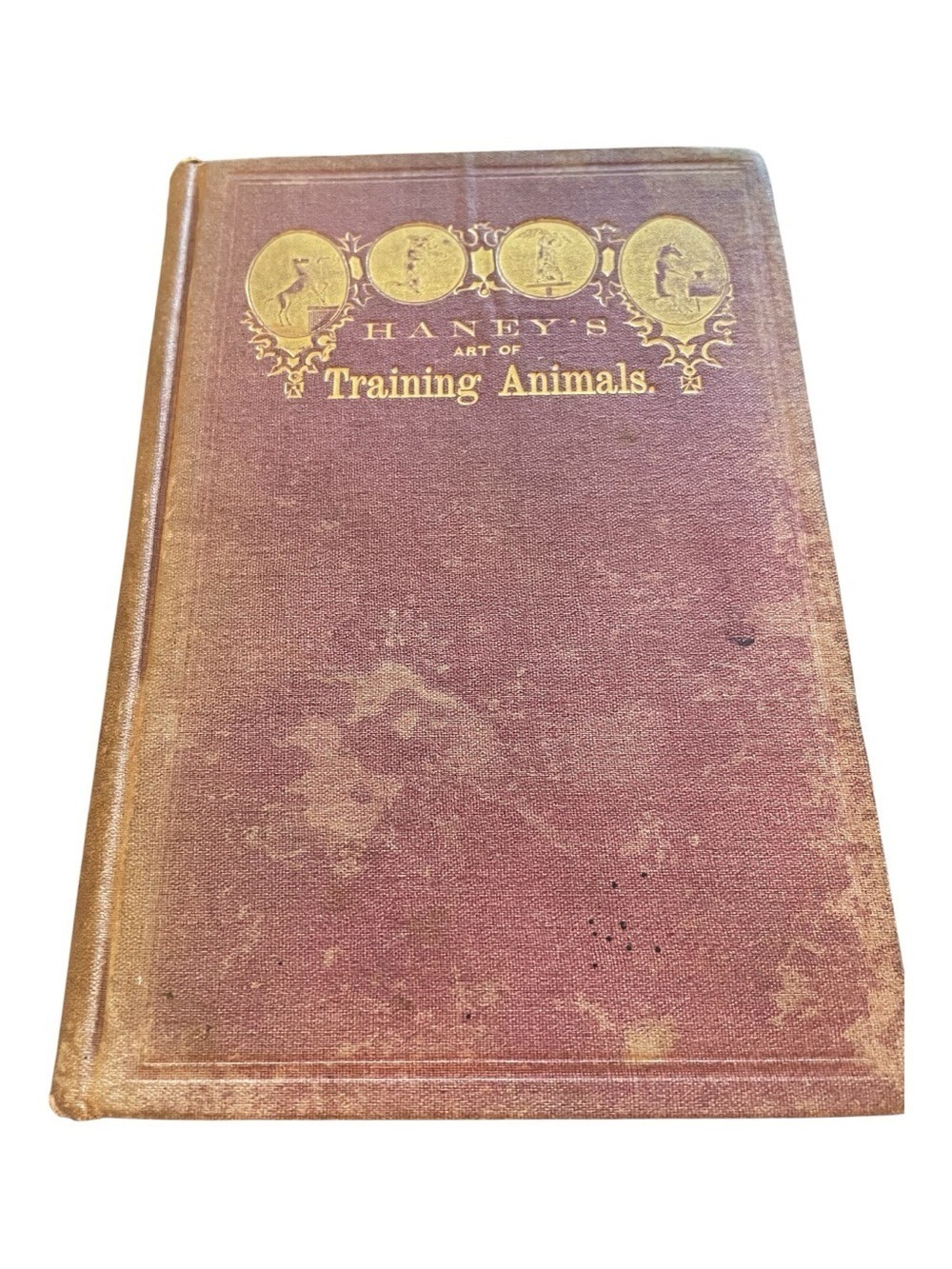 1869 "Haney's Art of Training Animals" Antique Victorian HC Circus Animals